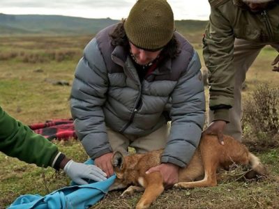 photo_2025-11-13_19-18-37